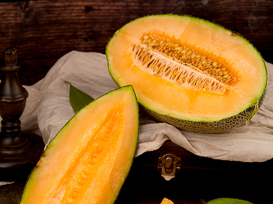 ​九游全站入口基地展示三